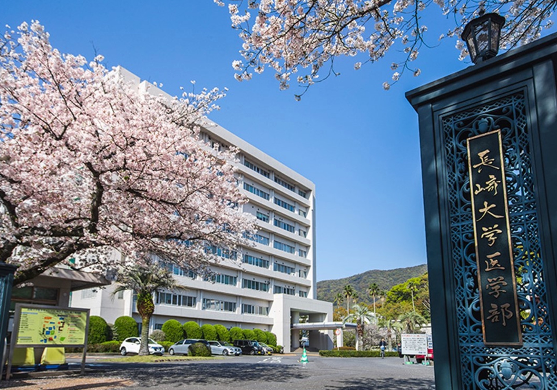 長崎大学医学部の正面の写真.jpg