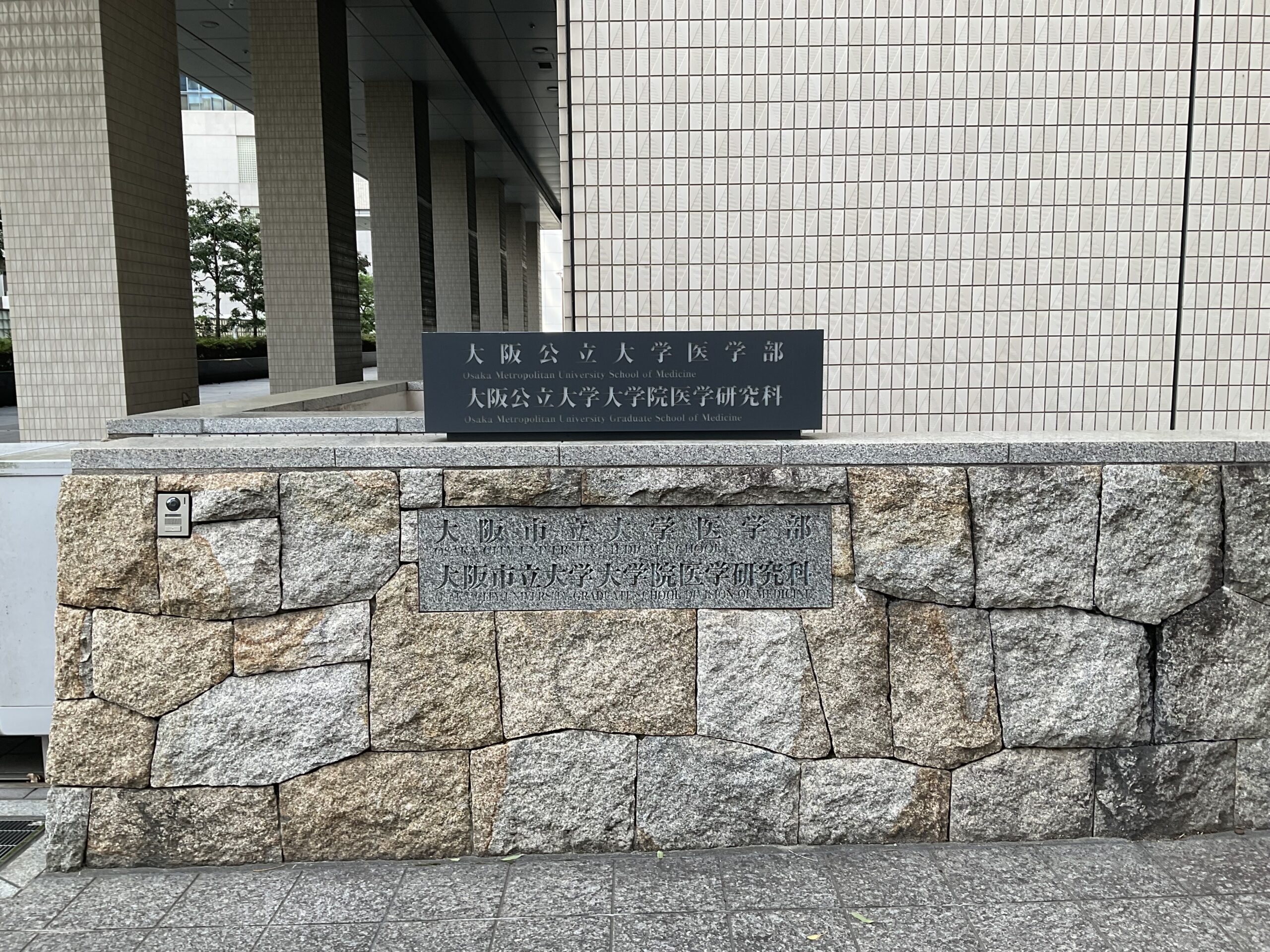 駿台 大阪公立大英語研究【医系】 2024 後期 堺野往 007s0D 楽天市場】駿台 大阪公立大英語研究【医系】 2024 後期 堺野往