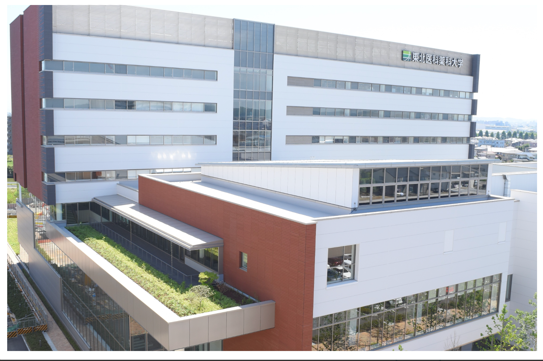 東北医科薬科大学-基本情報｜