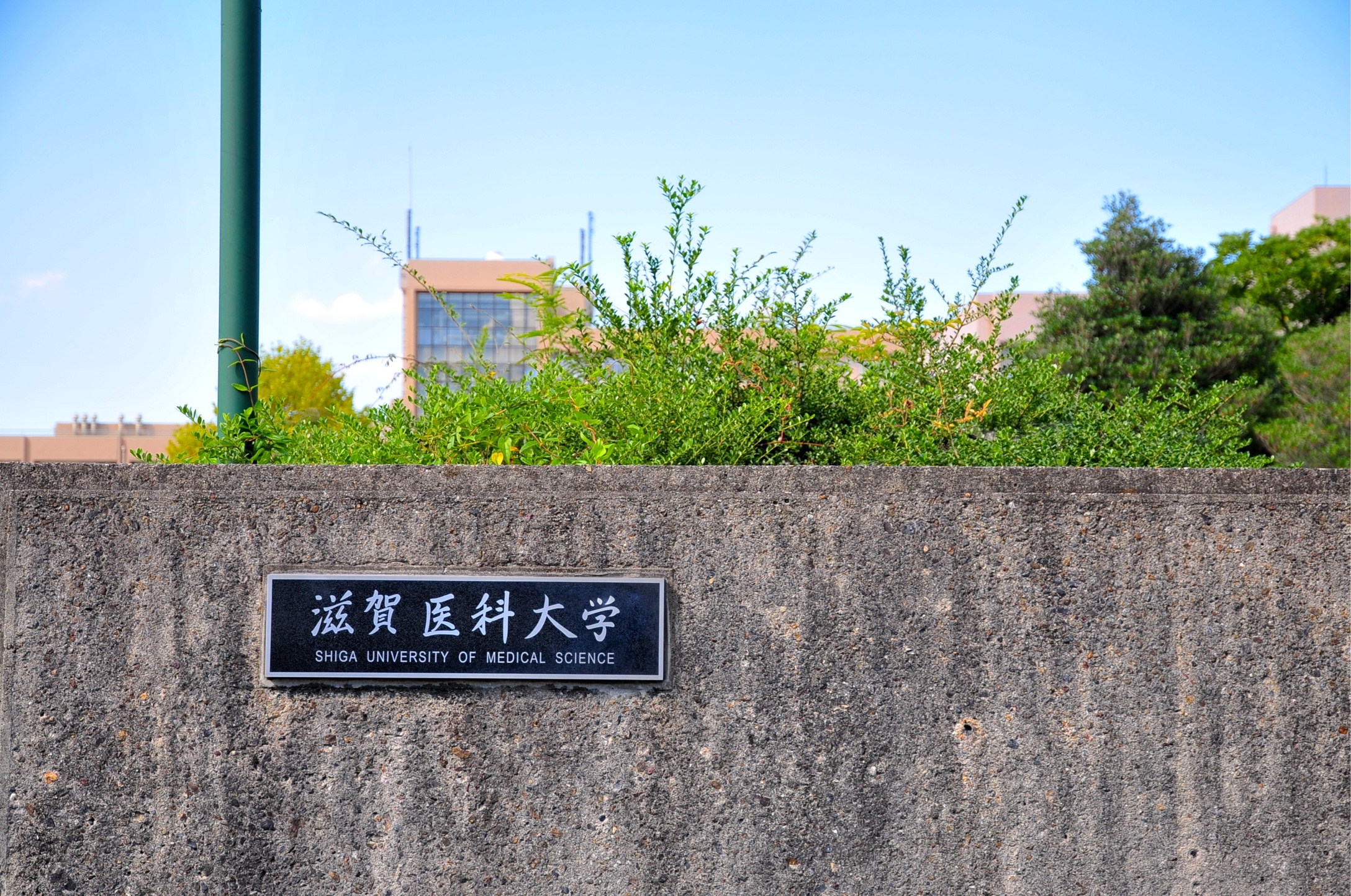 C0F36C82-CF28-427F-BA21-