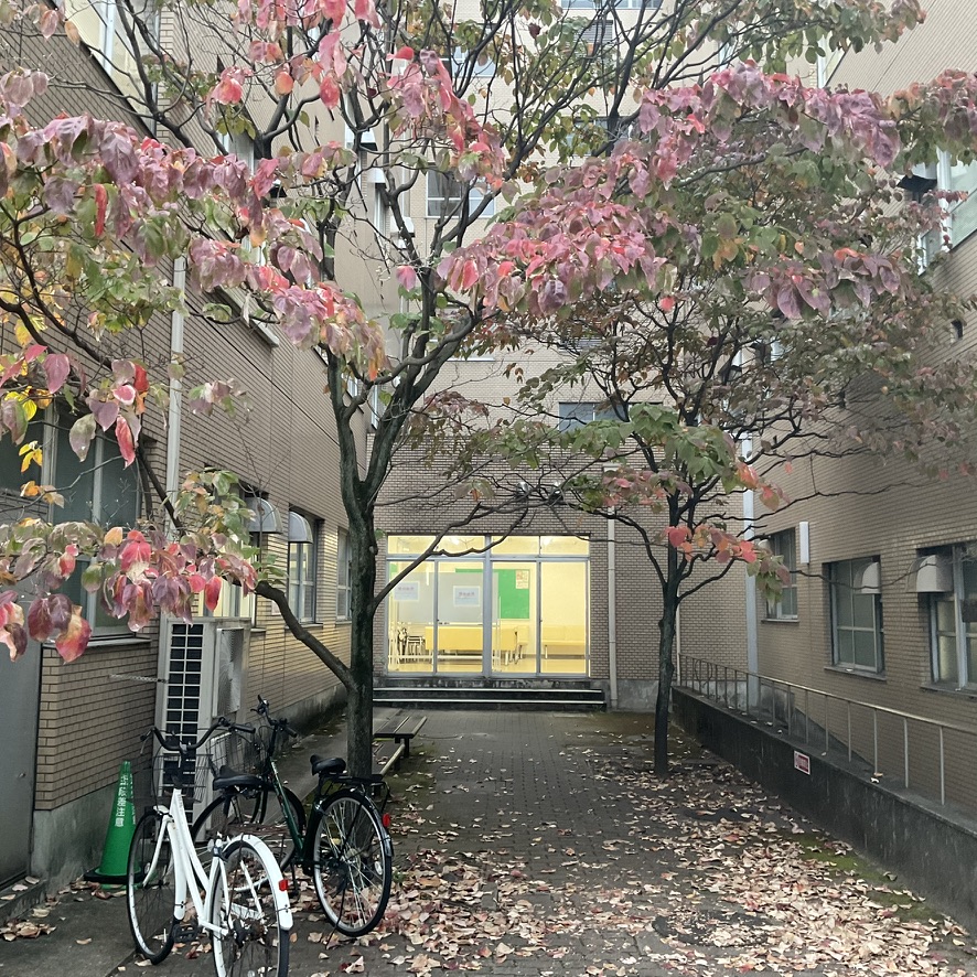 奈良県立医科大学