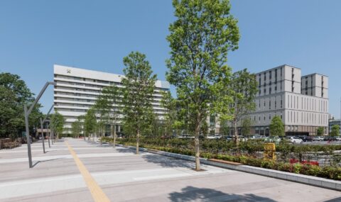 慶應義塾大学医学部