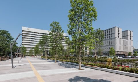 慶應義塾大学医学部