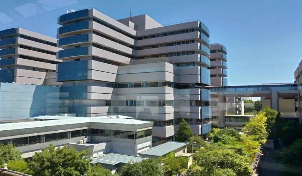 横浜市立大学医学部