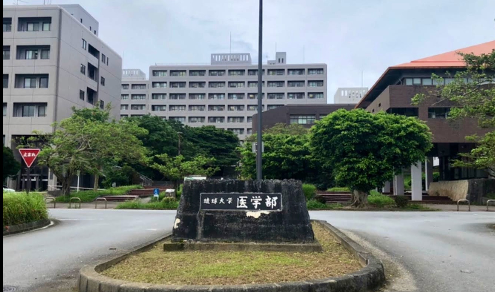 24年6月-来年移転_-_Google_