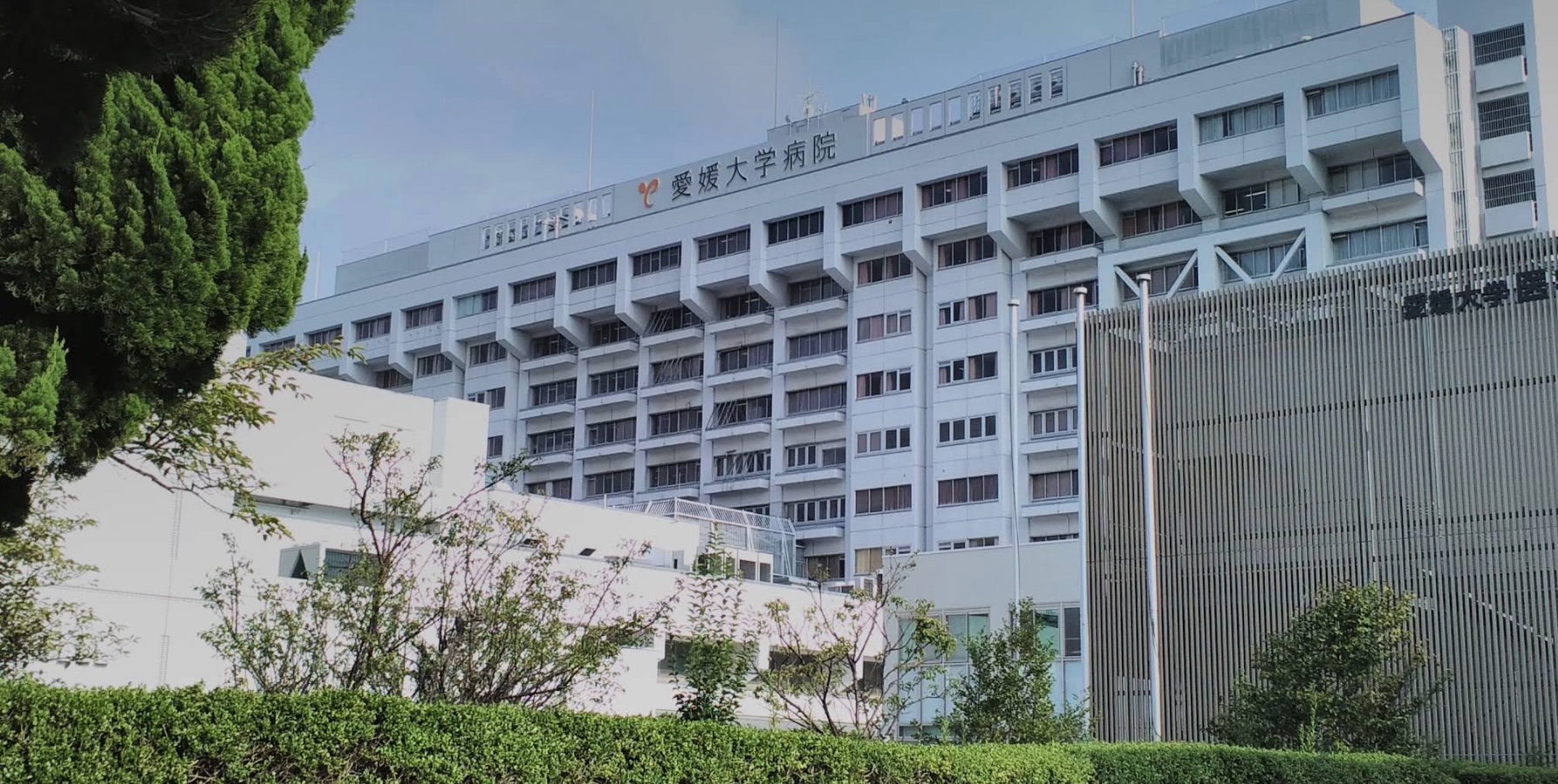 愛媛大学医学部附属病院_-